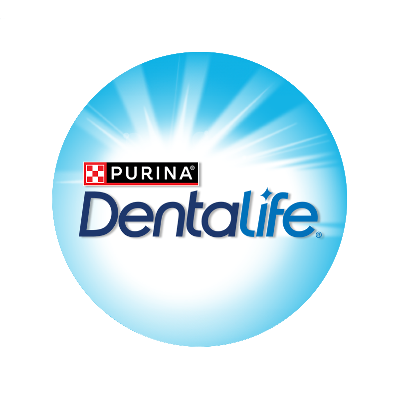 Dentalife logo