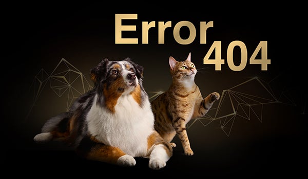 Error 404