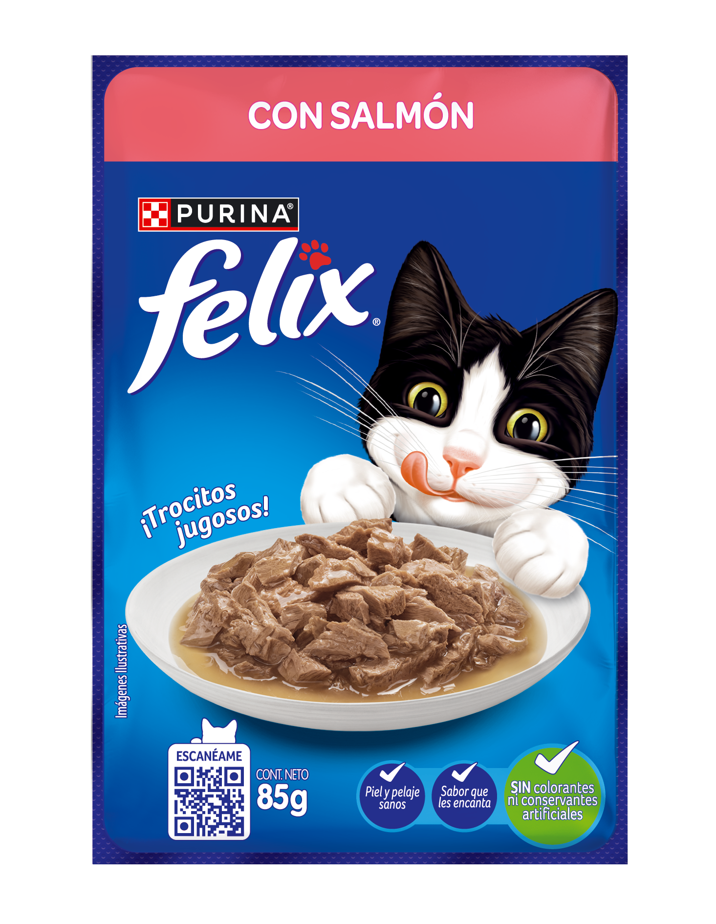 Felix Con Salmón