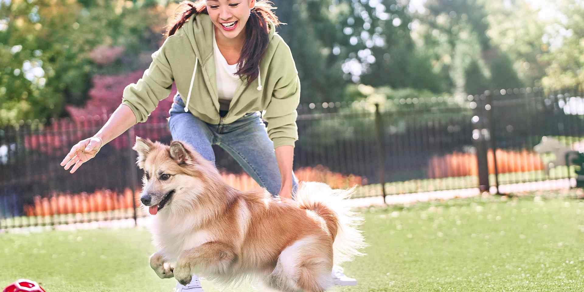 ¿Cómo pasear a mi perro durante la nueva normalidad?