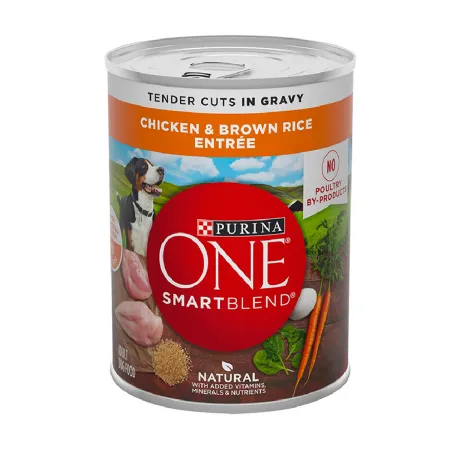 purina-one-wet-chicken-brown-%26-rice-entre%CC%81e-tender-cuts-in-gravy-01.png.webp?itok=GB86Yypx