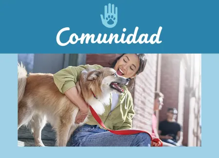 purina-img-community.jpg.webp?itok=BJvyJ8U9