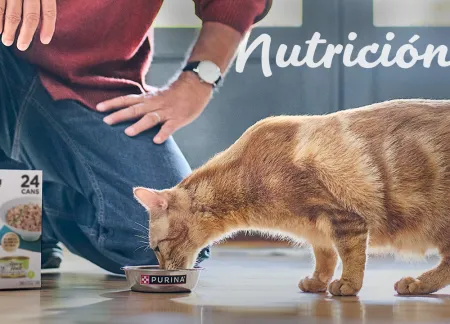 purina-img-cuidados-nutricion.jpg.webp?itok=C3AiNAtj