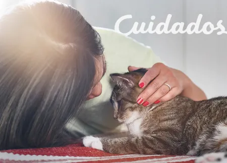 purina-img-cuidados.jpg.webp?itok=Taf5-Mnb