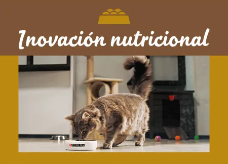 purina-img-nutrition_0.jpg.webp?itok=XjrxHReu