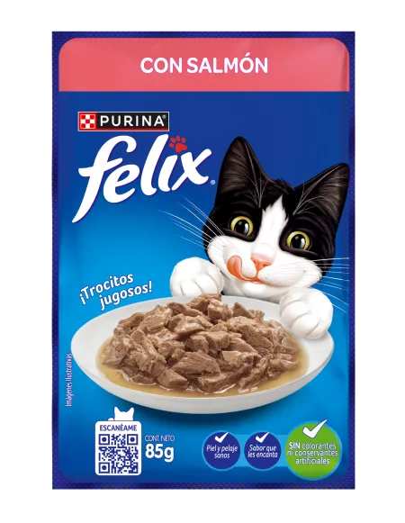 Felix Con Salmón